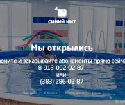 бассейн для детей синий кит изображение 1 на проекте lovefit.ru