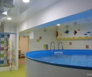 детский бассейн весёлый пингвин изображение 2 на проекте lovefit.ru