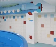 детский бассейн весёлый пингвин изображение 1 на проекте lovefit.ru