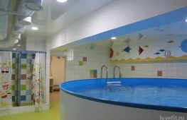 детский бассейн весёлый пингвин изображение 2 на проекте lovefit.ru
